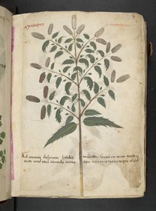 Dodaj MS 41623 
