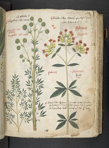 Dodaj MS 41623 