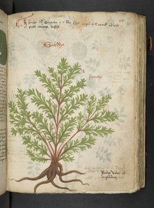 Dodaj MS 41623 