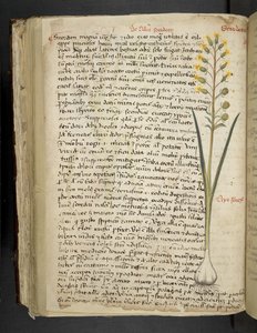 Dodaj MS 41623 f.119v 