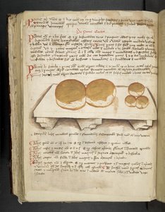 Dodaj MS 41623 f.124v De Pane, z „A herbal”, Belluno (tusz i kolor na welinie) autorstwa Italian School