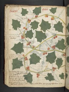 Dodaj MS 41623 f.53v 