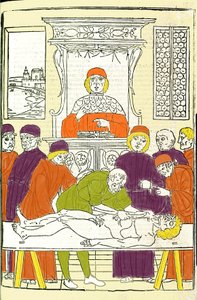 Rozcięcie anatomiczne. Grawerowanie z Treat of Medicine Gerolamo Cardano (Cardano) (Cardanus Hieronymus), Florencja autorstwa Italian School
