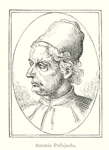 Antonio Pollajuolo (grafika) autorstwa Italian School