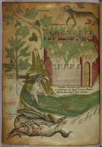 Botaniczna i zwierzęca ilustracja przedstawiająca rośliny, otoczony murem ogród, wilka, mężczyznę łowiącego ryby w strumieniu za pomocą sieci oraz sępa dziobiącego zwłoki zwierzęcia, ok. 1440 r. (tusz i kolor na welinie) autorstwa Italian School