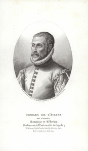 Carolus Clusius autorstwa Italian School
