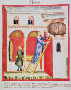 Fol.85v Ocet, ilustracja z Tacuinum Santiatis Codex Vindobonensis autorstwa Italian School