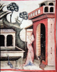 Fol.88v Woda źródlana, ilustracja z 