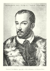 François Ier de Medici autorstwa Italian School