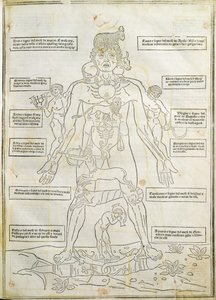 Ilustracja z „Fassiculus Medicinae” Wenecja autorstwa Italian School