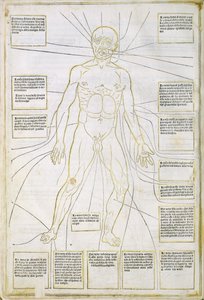 Ilustracja z „Fassiculus Medicinae” Wenecja autorstwa Italian School