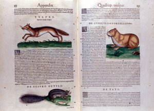 Ilustracje z „Historii Animalium” Conrada Gesnera autorstwa Italian School