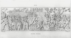 La Colonna Trajana, Kolumna Trajana (rycina) autorstwa Italian School