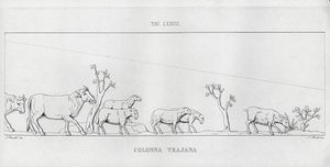 Kolumna Trajana, Kolumna Trajana (rycina) autorstwa Italian School
