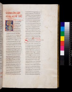 Ms 143. Grzegorz Wielki, Registrum Epistolarum, f.8r. Zdobiony inicjał [S] z wypełnieniem z białego liścia winorośli i zwieńczeniami autorstwa Italian School