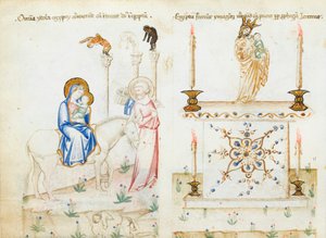 Ms 43-1950 fol.3v Ucieczka do Egiptu, ze Speculum Humanae Salvationis autorstwa Italian School