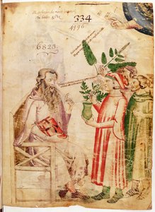 Ms Lat 6823 fol.1 Mężczyźni prezentujący rośliny nieznanemu mężczyźnie, z De Herbis Manfredus de Monte Imperiali autorstwa Italian School