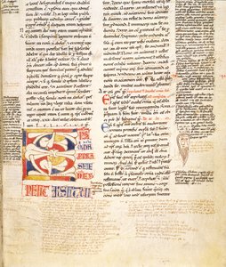 Ms. McClean 135, f.96r: detal roślinnej formy historiowanego inicjału C z Gratians Decretum, koniec XII w. autorstwa Italian School