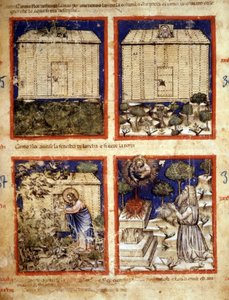 Arka Noego, miniatura zaczerpnięta z kodeksu 212 (lub kodeksu Padovano lub Biblii z Padwy) 1390-1400 Rovigo, Accademia dei Concordi autorstwa Italian School