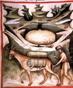 Nova 2644 fol.90r Śnieg i lód, z 