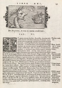 Strona 735 z Historii Północy, Magnus Olaus, Rzym 1565 (druk i grawerowanie) autorstwa Italian School