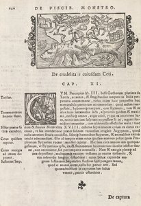Strona 740 z Historii Północy Magnusa Olausa, Rzym 1565 (druk i grawerowanie) autorstwa Italian School