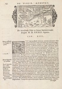Strona 742 z History of the Northern Gentivus autorstwa Magnusa Olausa, Rzym 1565 (druk i grawerowanie) autorstwa Italian School
