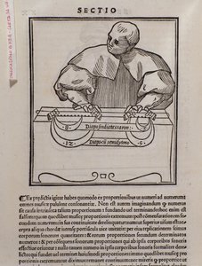 Strona z Musica theorica autorstwa Lodovico Foglianiego (1475?-1542) (lub Ludovico Folianiego) teoretyka muzyki autorstwa Italian School