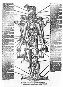 Tabliczka przedstawiająca ludzkie ciało z pozycją wszystkich narządów i odpowiadającymi im znakami zodiaku przez ich wpływy astrologiczne. Plage zaczerpnięte z „” Recetoro di Galeno optio e probato a tutte le infirmita che accadeno a huomini e a donne di d autorstwa Italian School