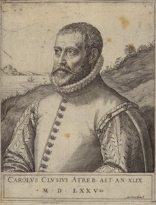 Portret Carolusa Clusiusa autorstwa Italian School