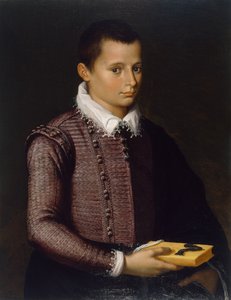 Portret chłopca trzymającego książkę (olej na desce lipowej)