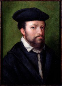 Portret dżentelmena, Północne Włochy, poł. XVI w. (panel)