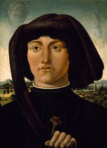 Portret młodzieńca z różowym kwiatem, ok. 1475-85 (tempera na drewnie) autorstwa Italian School