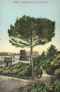 Rzym, Włochy, Amfiteatr i Koloseum (kolorowa litografia) autorstwa Italian School