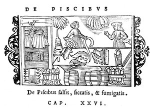 Solenie, suszenie i wędzenie ryb, ilustracja z Historia de Gentibus Septentrionalibus Olausa Magnusa (1490-1558), opublikowana w Rzymie, 1555 autorstwa Italian School