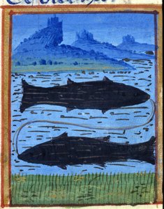 Znak ryb. Horoskop włoski, połowa XV wieku. autorstwa Italian School