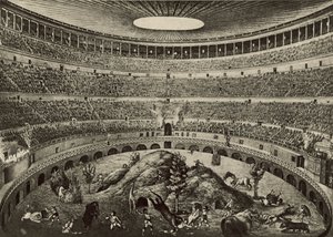 Koloseum, Wielka pogoń za dzikimi bestiami (lito) autorstwa Italian School