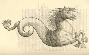 ilustracja Equus marinus monstrosus z Aldrovandis Historia potworów, 1642 autorstwa Italian School