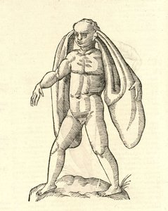 ilustracja Homo Fanesius auritus z Historii potworów Aldrovandisa, 1642 r. autorstwa Italian School