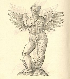 ilustracja przedstawiająca skrzydlatego potwora z „Historii potworów Aldrovandisa”, 1642 r. autorstwa Italian School