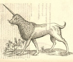 ilustracja przedstawiająca Camphurch z Aldrovandis History of Monsters , 1642 autorstwa Italian School