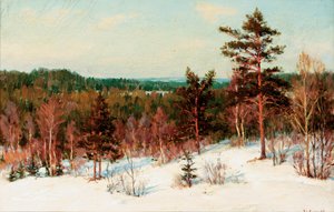 Zima - Widok na las autorstwa Ivan Fedorovich Choultse