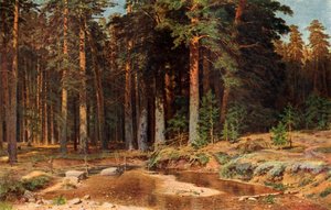 Gaj sosnowy, 1898, 1939.