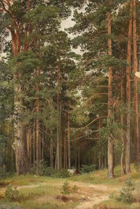 Letni dzień, Merikiul, 1895 autorstwa Ivan Ivanovich Shishkin