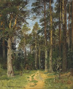 Siewierskaja, 1896.