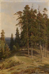 Las sosnowy, 1895 autorstwa Ivan Ivanovich Shishkin