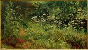 Gierscha. Pargołowo autorstwa Ivan Ivanovich Shishkin
