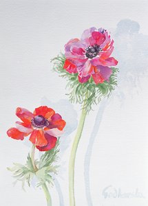 Anemone, 1998 (wc na papierze) (zob. 124451) autorstwa Izabella Godlewska de Aranda