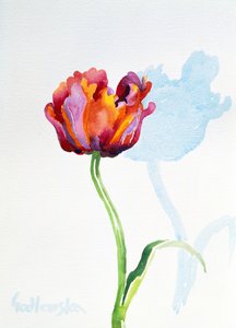 Tulip, 1998 (wc na papierze) (patrz także 124446 i 124448) autorstwa Izabella Godlewska de Aranda