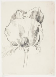 MAK autorstwa J.A. Jerichau